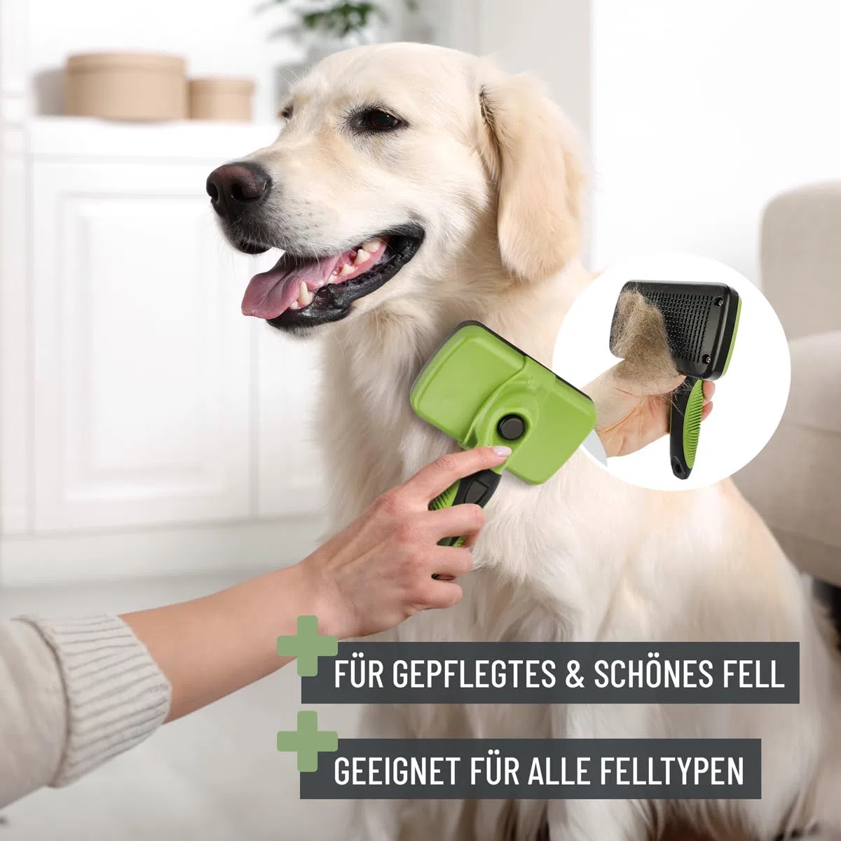 ReaVET Juego de 6 cepillos profesionales para perros y gatos, cepillo para perros y gatos, cepillo para perros y gatos, cepillo para fieltrado, cepillo para debajo del pelo, peine para pulgas, tijeras