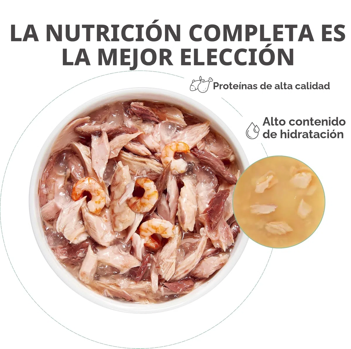 Schesir, Atún En Gelatina, Alimento Húmedo Completo para Gatos, En Lata, con Vitaminas Añadidas, 100% Filetes Naturales, Cruelty-Free, 6 X 50g