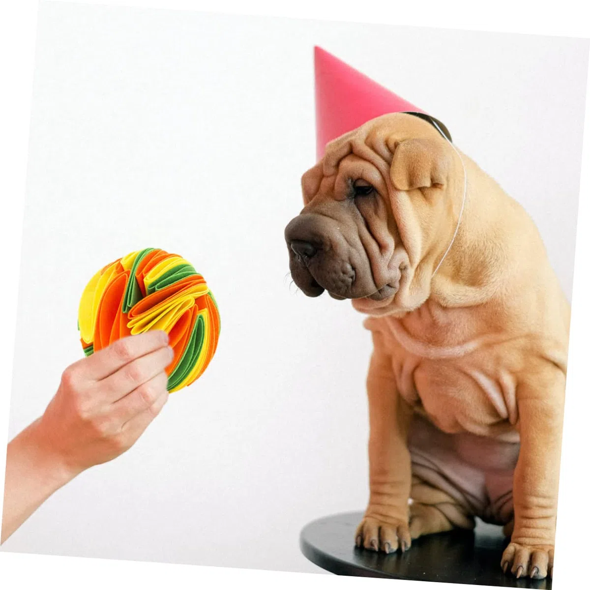 Kisangel 2piezas Juguete Interactivo para Perros Bola De Olfato para Mascotas Juguete De Masticación y Dispensador De Comida Estimula La Coordinación y Previene El Aburrimiento