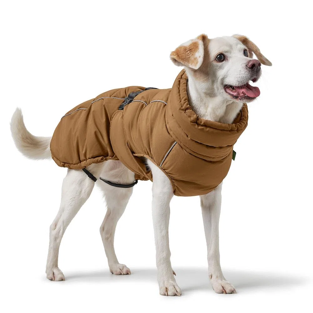 Abrigo para perro Paxson, color azul paloma, talla 45