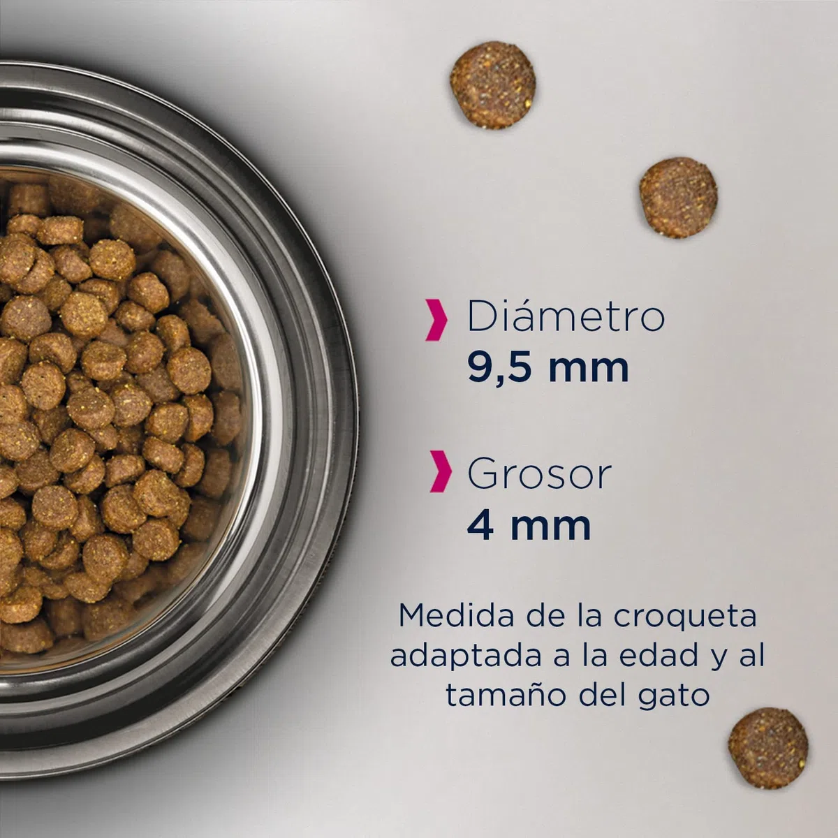 EUKANUBA Grain Free Alimento Seco para Gatitos en Crecimiento, Alimento Seco Premium Rico en Salmón para Gatitos, 10 kg
