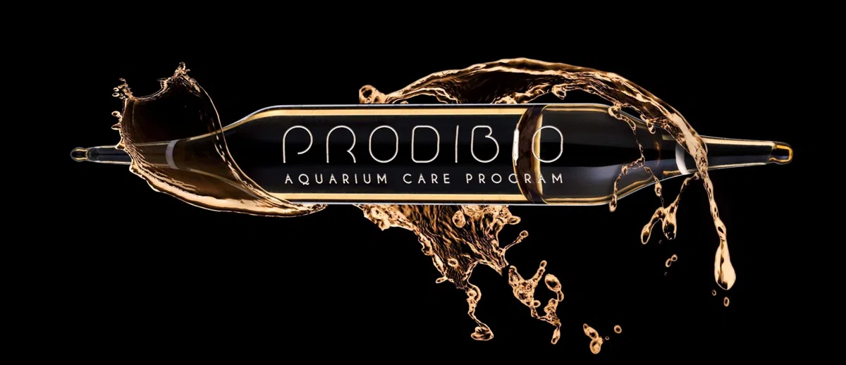 Prodibio biodigest, 30 Viales