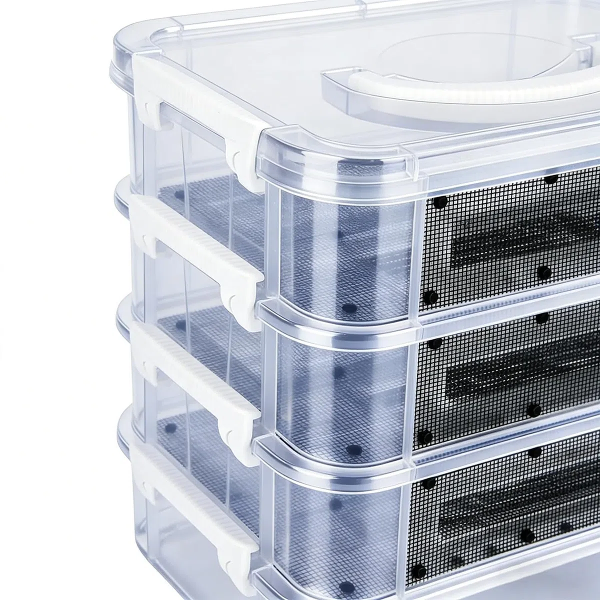 Kit de Cría de de la Harina Contenedor de Malla Transparente de 4 Niveles | para con Asa para Reptiles, Arañas, Aves, Pollos, Lagartos, Dragones Barbudos