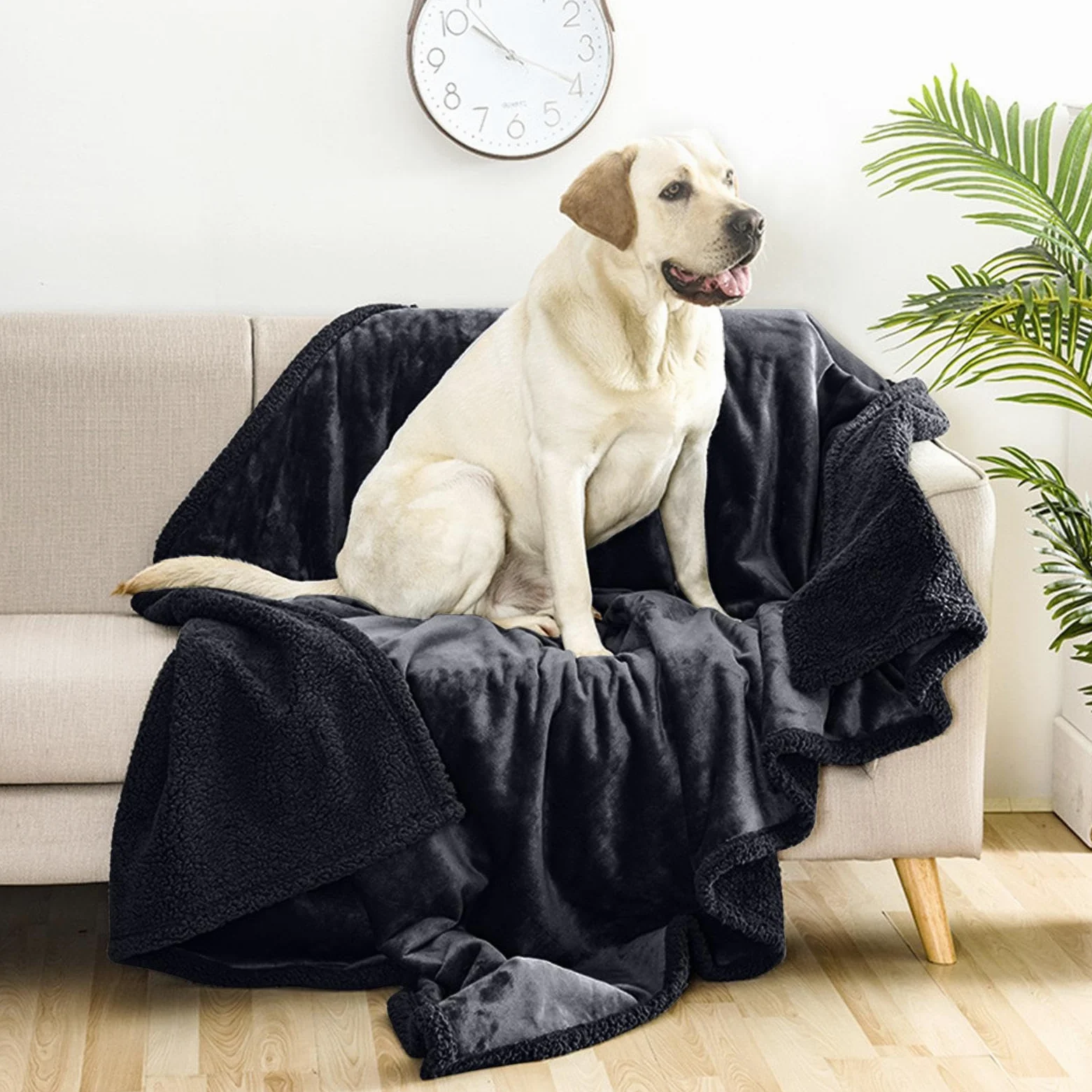 Manta Lavable a máquina para Mascotas, Manta de Franela para | Perros y Gatos, Manta Lavable para Perros, Suministros para Mascotas acogedoras para Gatos de Interior, Todas Las Estaciones,