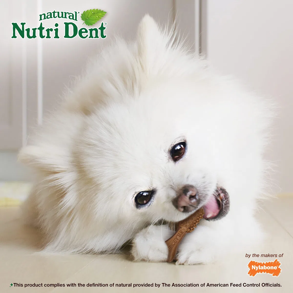 Nylabone Nutri Dent - Masticables dentales para Perros, Limpieza Natural de Dientes y ambientador para el Aliento, golosinas dentales para Perros, Sabor a Filete Mignon, Mini (160 Unidades)