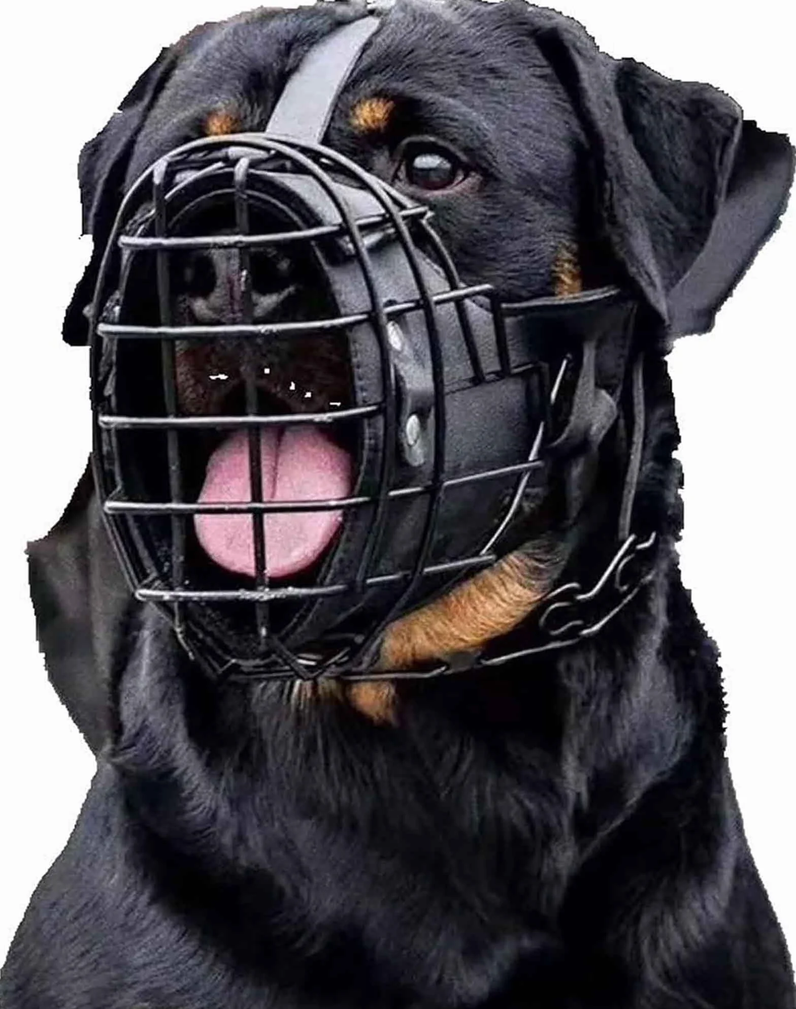 Bozal ajustable de metal y cuero para perro pastor alemán, doberman, rottweiler y otros perros medianos y grandes, ideal para adiestramiento, negro, L