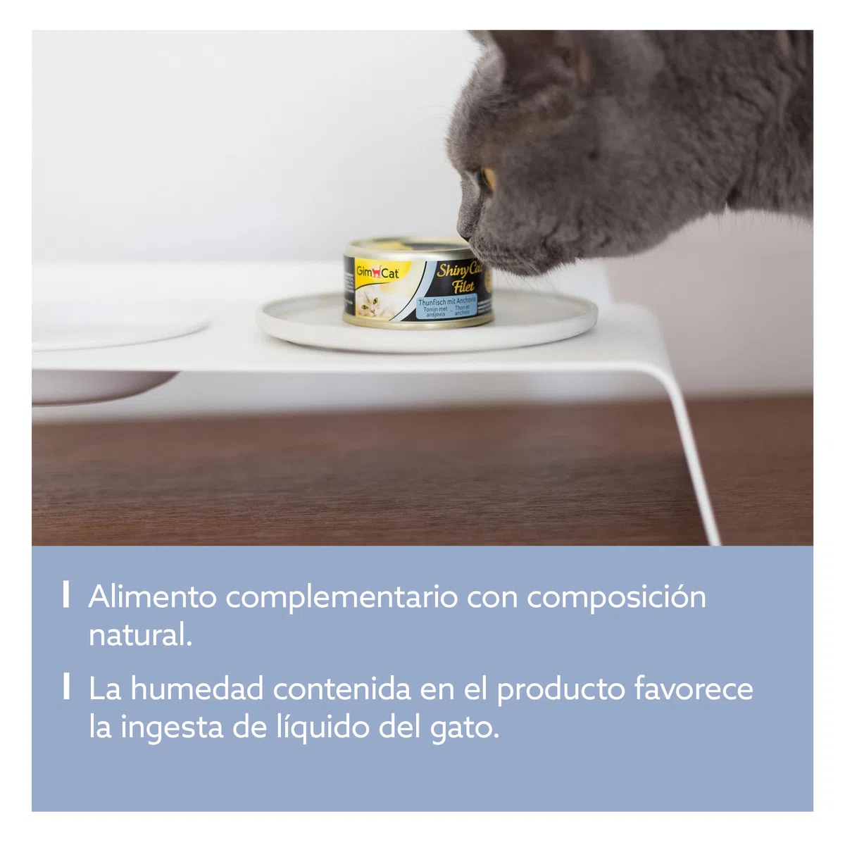 GimCat ShinyCat Filet atún con anchoas - Comida para gatos con jugoso filete y sin azúcar añadido, para gatos adultos - 24 latas (24 x 70 g)