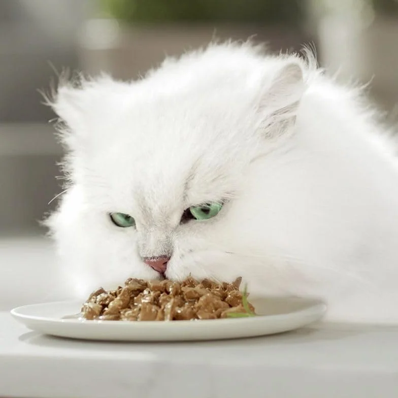 Purina Gourmet A la Carte Comida húmeda para Gatos, Surtido Variado, 12 Unidades (4 Bolsas de 85 g)