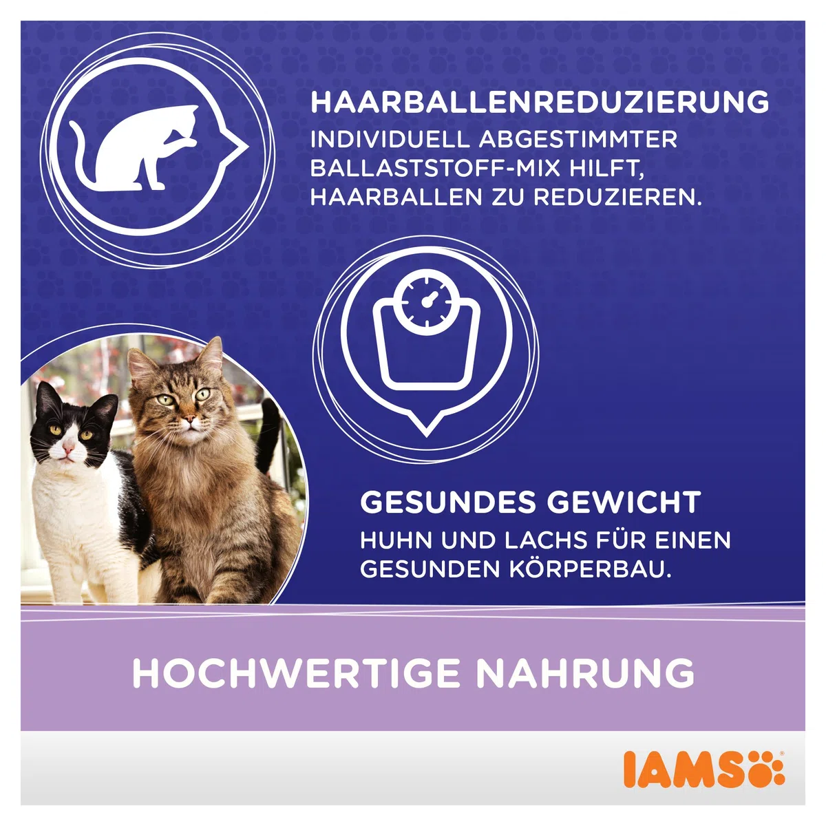 IAMS ProActive Health Adult & Mature & Senior Multi-Cat Households with Salmon & Chicken 15 Kg