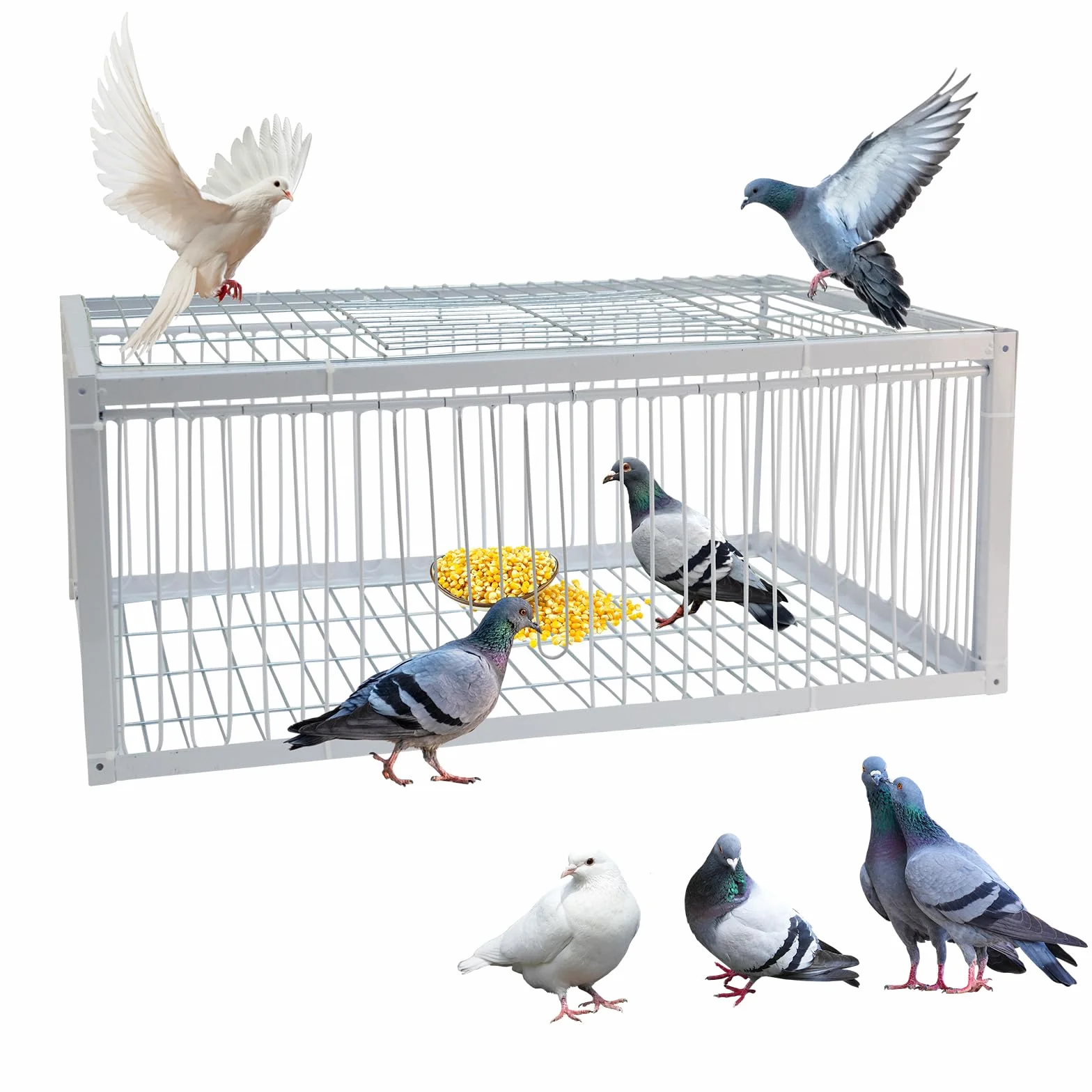 Jaula para Palomas para Palomas, Loros, periquitos y Otras Aves | jaula para palomas con entrada unidireccional de 4 lados y 1 claraboya - 63 x 43 x 26 cm