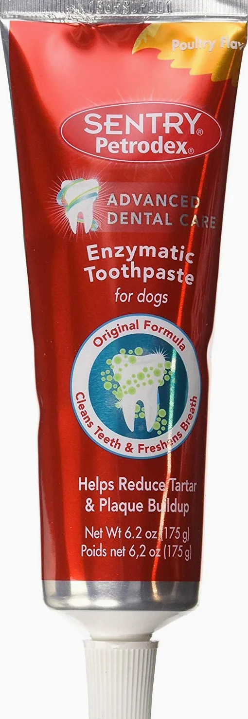 SentrySafe Petrodex Dental Enozymatic Toothpaste Poultry Flavor for Dogs 6.2 oz - 6 Pack