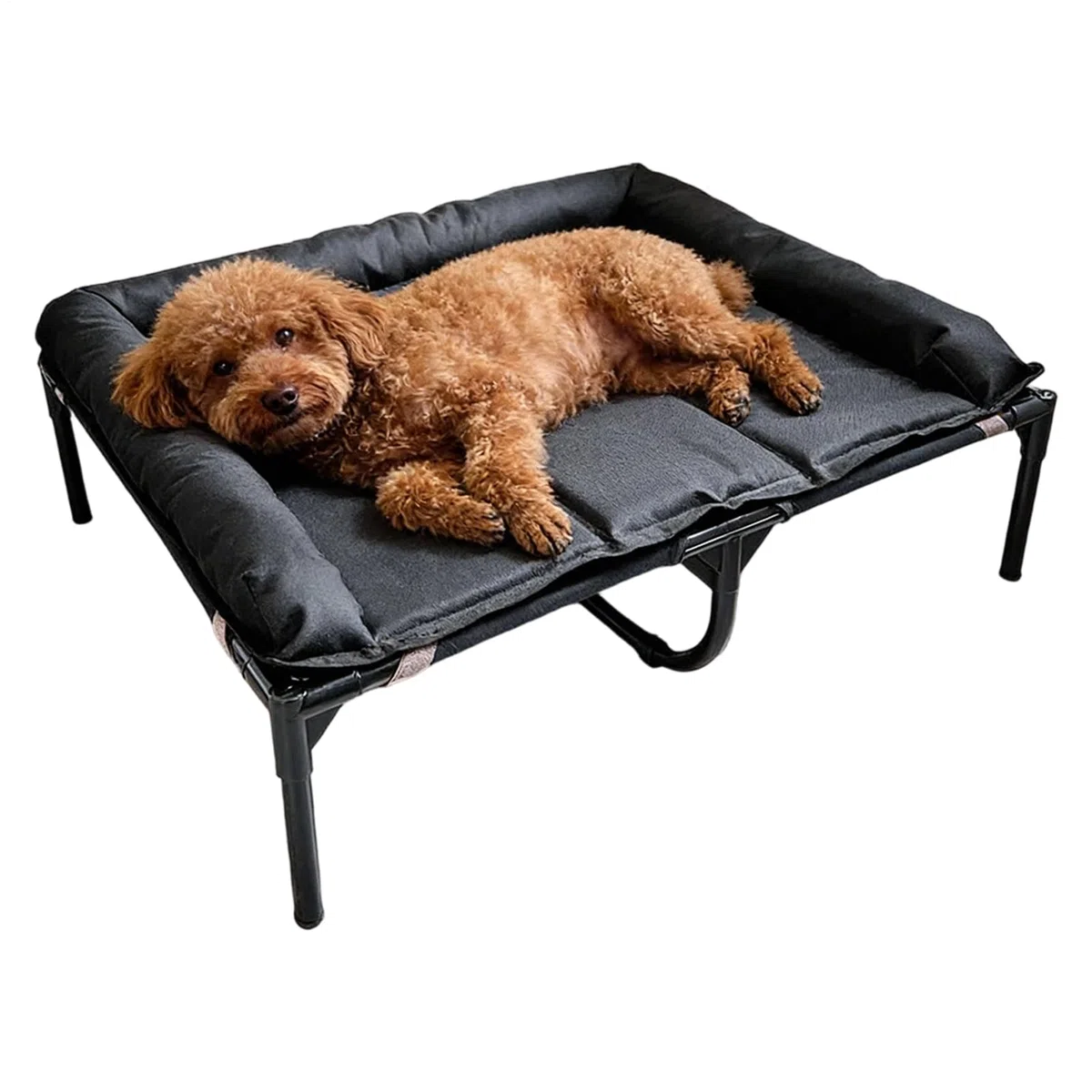 Genérico Camas Elevadas para Perros,Colchoneta Impermeable Portátil - Cama Cuna para Perros Portátil De Oxford con Cojín Desmontable,para Mascotas Cachorros Viaje Camping Interior Exterior