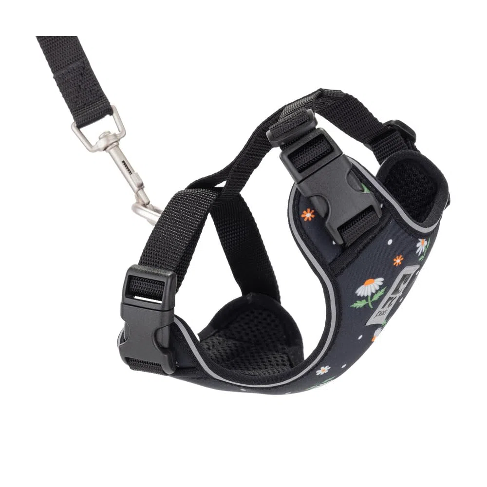 RC Pet Products Adventure Kitty - Arnés para pasear Gatos, Mediano, Margaritas (53804347)