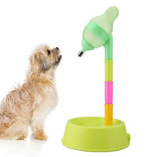 Dispensador de Agua para Gato y con Fuente de Altura Ajustable de pie, Botella de Bebida con Boquilla antigoteo (Verde)