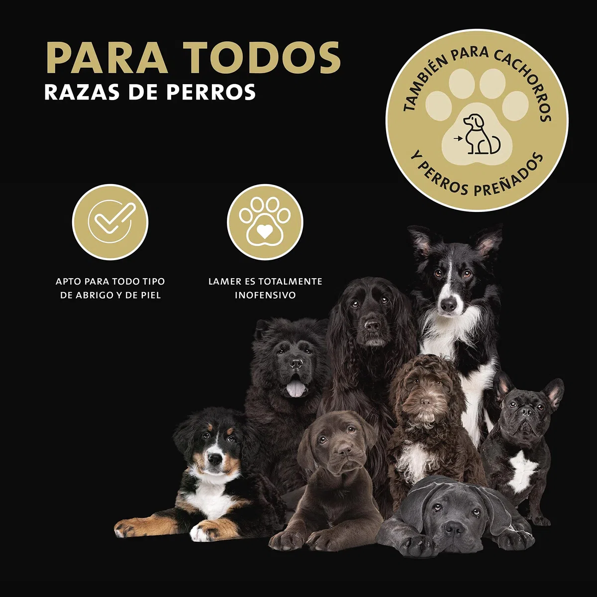 Peticare Perro Aceite de Cuidado Limpiador para Acaros del Oido y Anti-Parasitos - Gotas de Tratamiento, Limpia Eficazmente Orejas, Detiene Otitis Parasitaria - petDog Health 2108