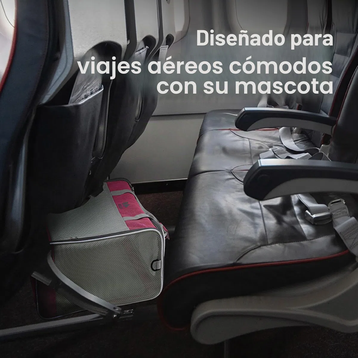 EQUICANI® Bolsa para perros, 55 x 40 x 23 cm, plegable, ligera, con tejido de malla, correa y base extraíble para perros y gatos, para viajes, coche, vuelo (negro)