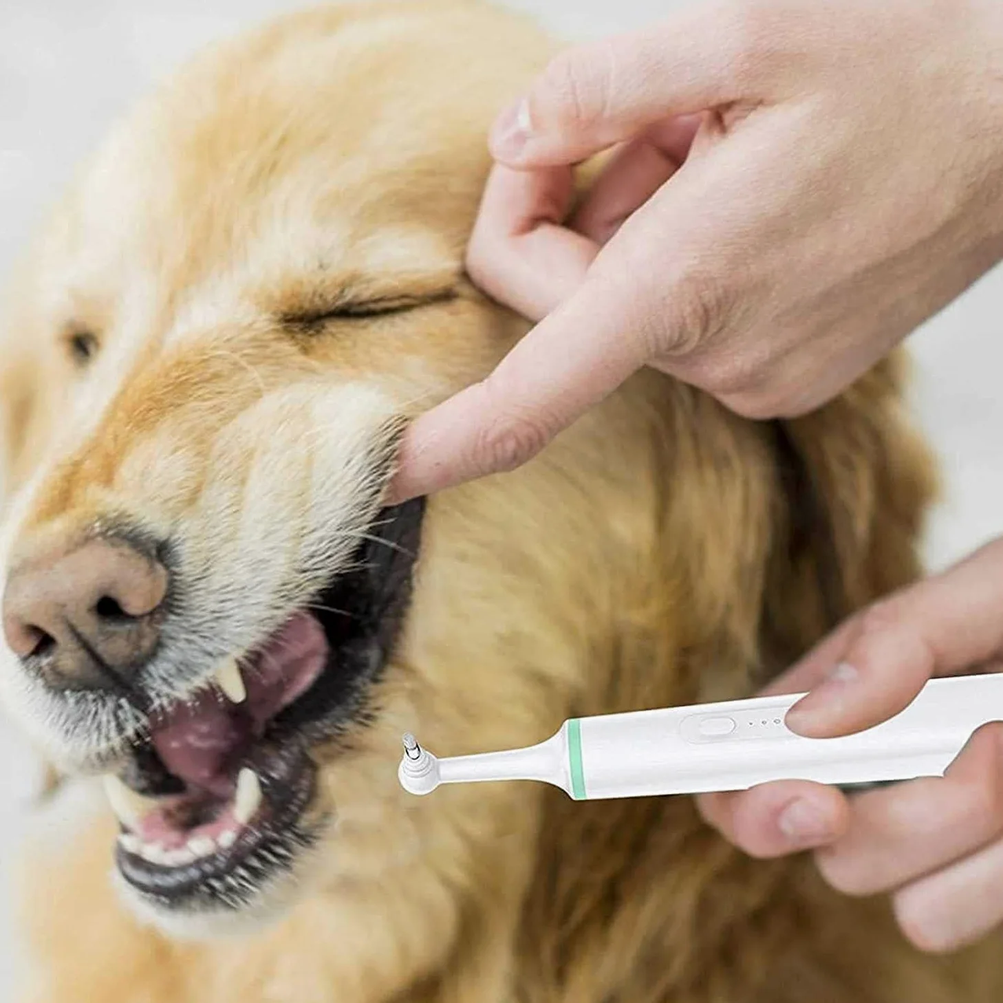Cepillo de dientes eléctrico para mascotas, herramienta de limpieza de boca de perro, cepillo de dientes ultrasónico para perro con 4 cabezales de cepillo para borrador de manchas, pulidor de dientes