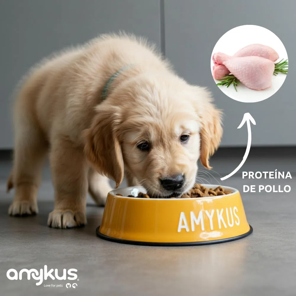 Original Puppy 12,5 kg Pienso para Perros Cachorros de Cualquier Raza, Altamente digestible con Pollo y Arroz