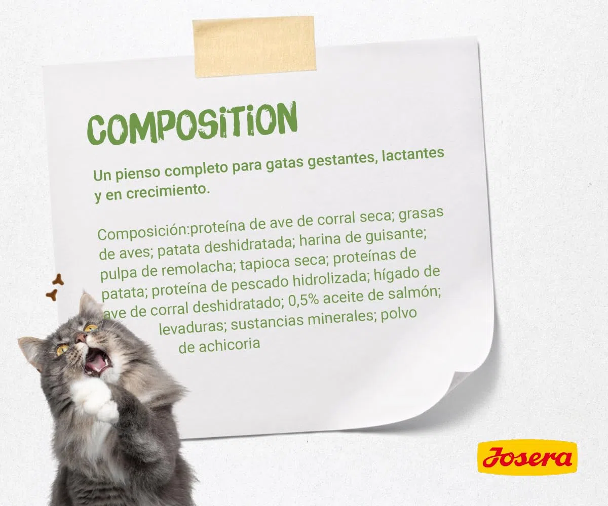 JOSERA Kitten grainfree (1 x 10 kg) | Un pienso completo para gatas gestantes, lactantes y en crecimiento | sin cereales con valioso aceite de salmón | 1 unidad