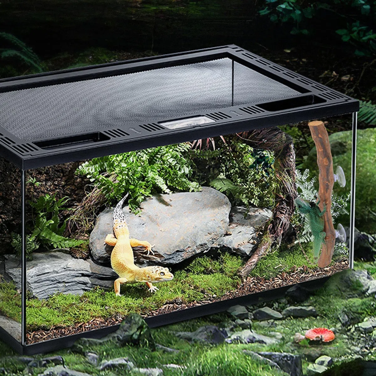 Rama De Árbol De Madera para Reptiles y Dragón Barbudo Ventosa, Juguete De Escalada De Madera Natural, Soporte De Pie Decorativo para Terrario, Accesorio para Reptiles Domésticos
