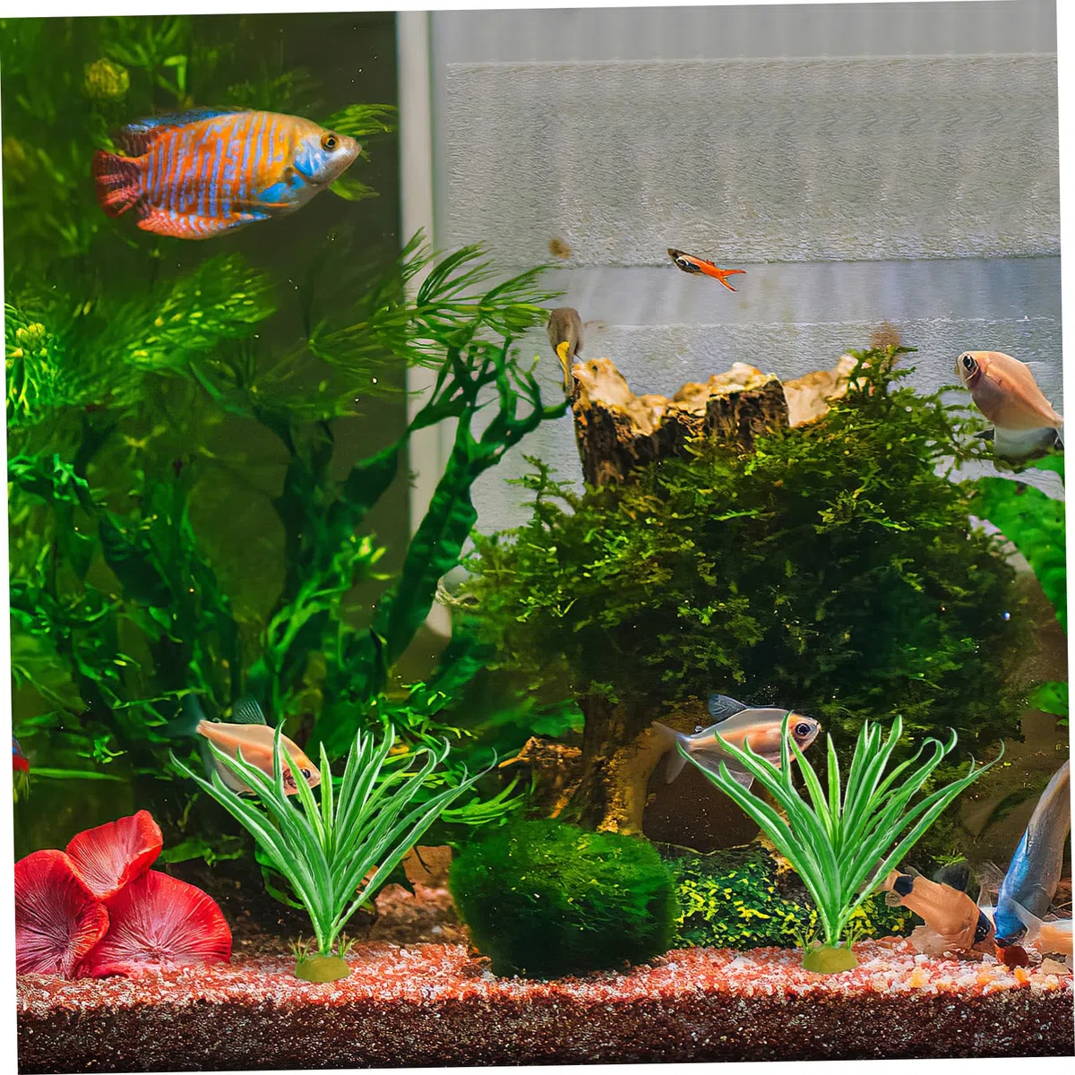 DOITOOL 6piezas Artificiales para Terrario De Reptiles Decoración Natural para Hábitats De Anfibios y De De Lifelike