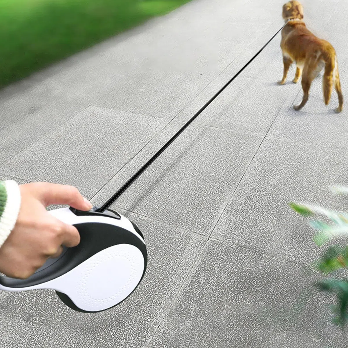 2 Uds Correa Larga para Perros - Correas para perros con luces LED, Línea Cat Puppy de 16 pies - Correa sin enredos de 360 grados Correas para perros de servicio pesado Accesorios para perros Abbto | Línea Cat Puppy de 16 pies - Correa sin enredos de 360