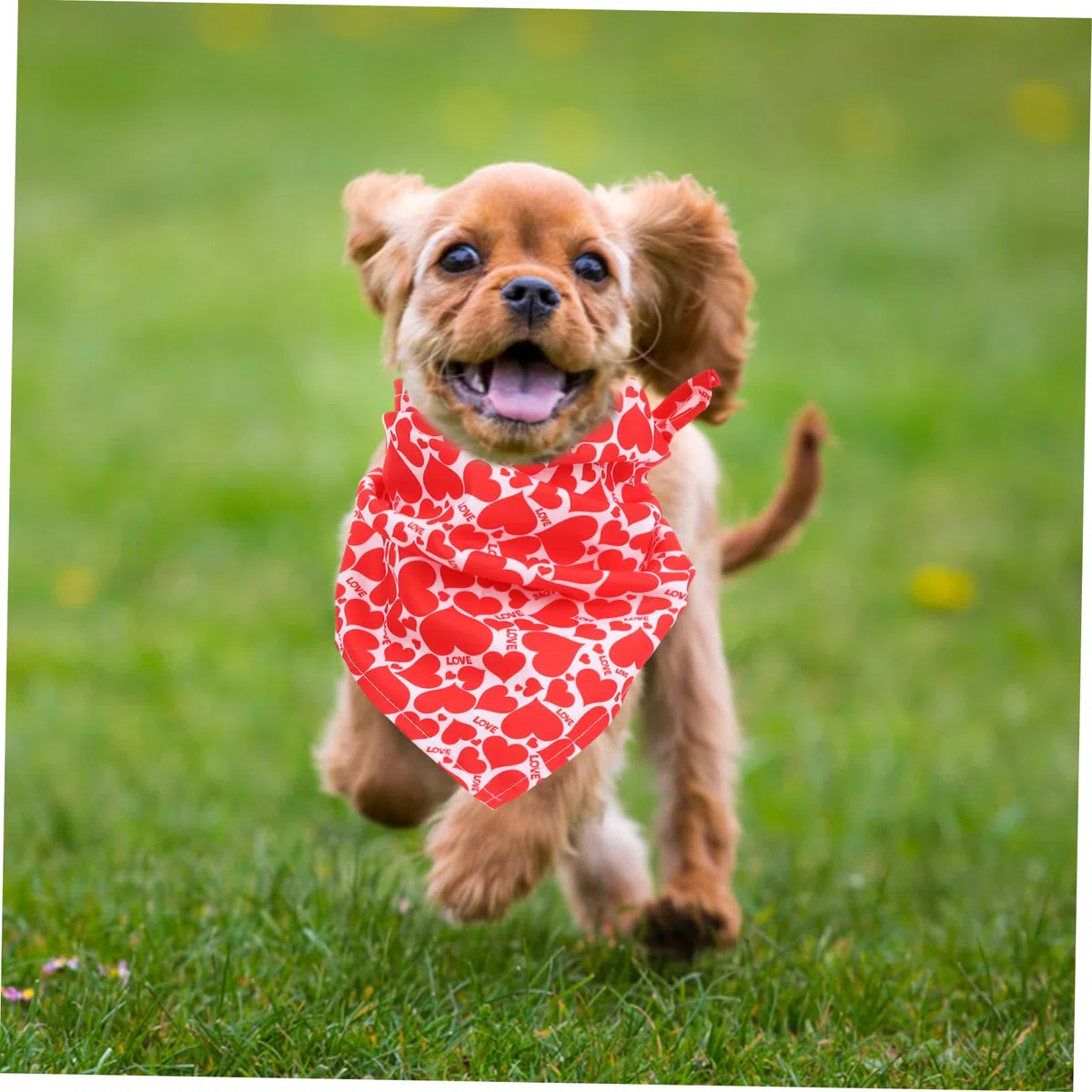 ABOOFAN 5 Juegos De Pañuelos Triangulares para Perro Disfraces De San Valentín Baberos para Mascotas (3 Unidades X 5)