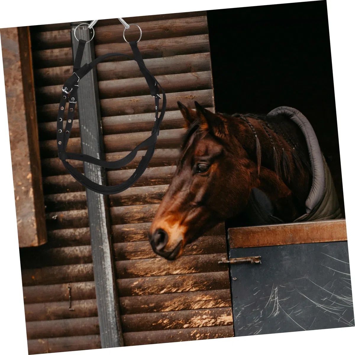 Cabestro de Cuerda Negro Pequeño de Nailon para Caballo
