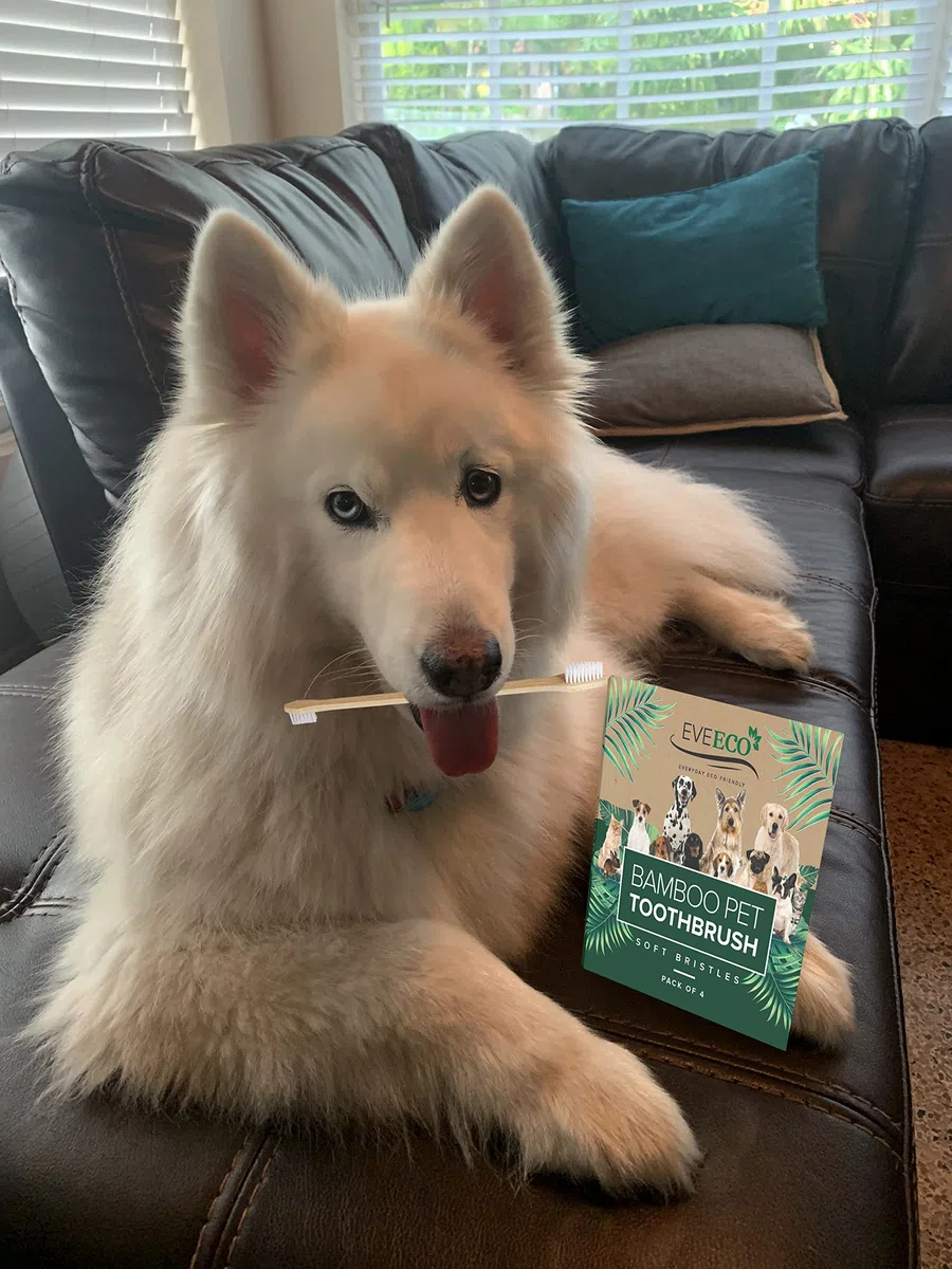 Paquete de 4 cepillos de dientes de bambú para perros y mascotas, 2 cabezales de cepillo grandes y pequeños con extra largo de 8.5 pulgadas, uso con pasta de dientes para eliminar caries, mal
