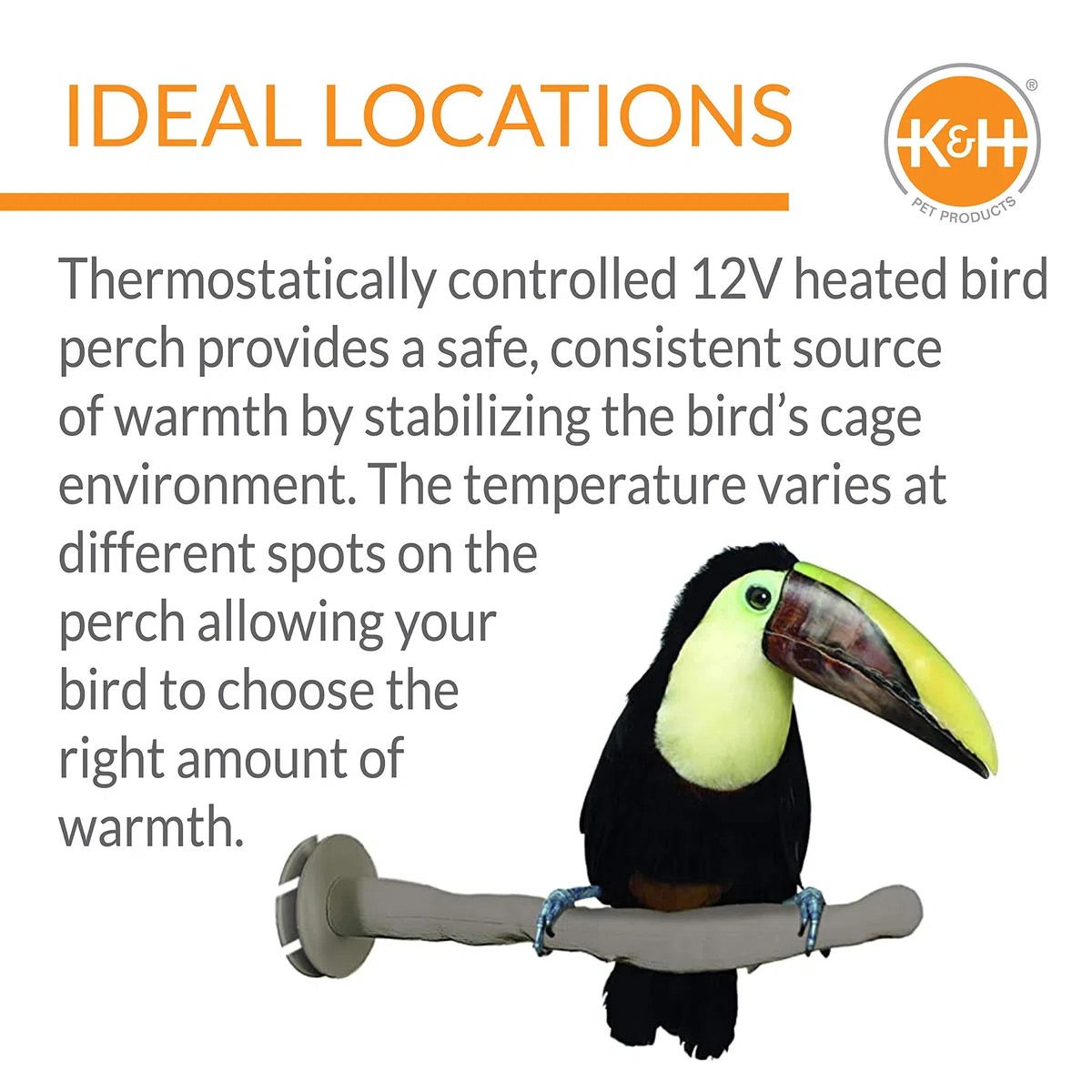 K&H Pet Products Thermo-Perch - Percha climatizada para pájaros, Color Gris, tamaño Mediano de 1.25 x 13 Pulgadas