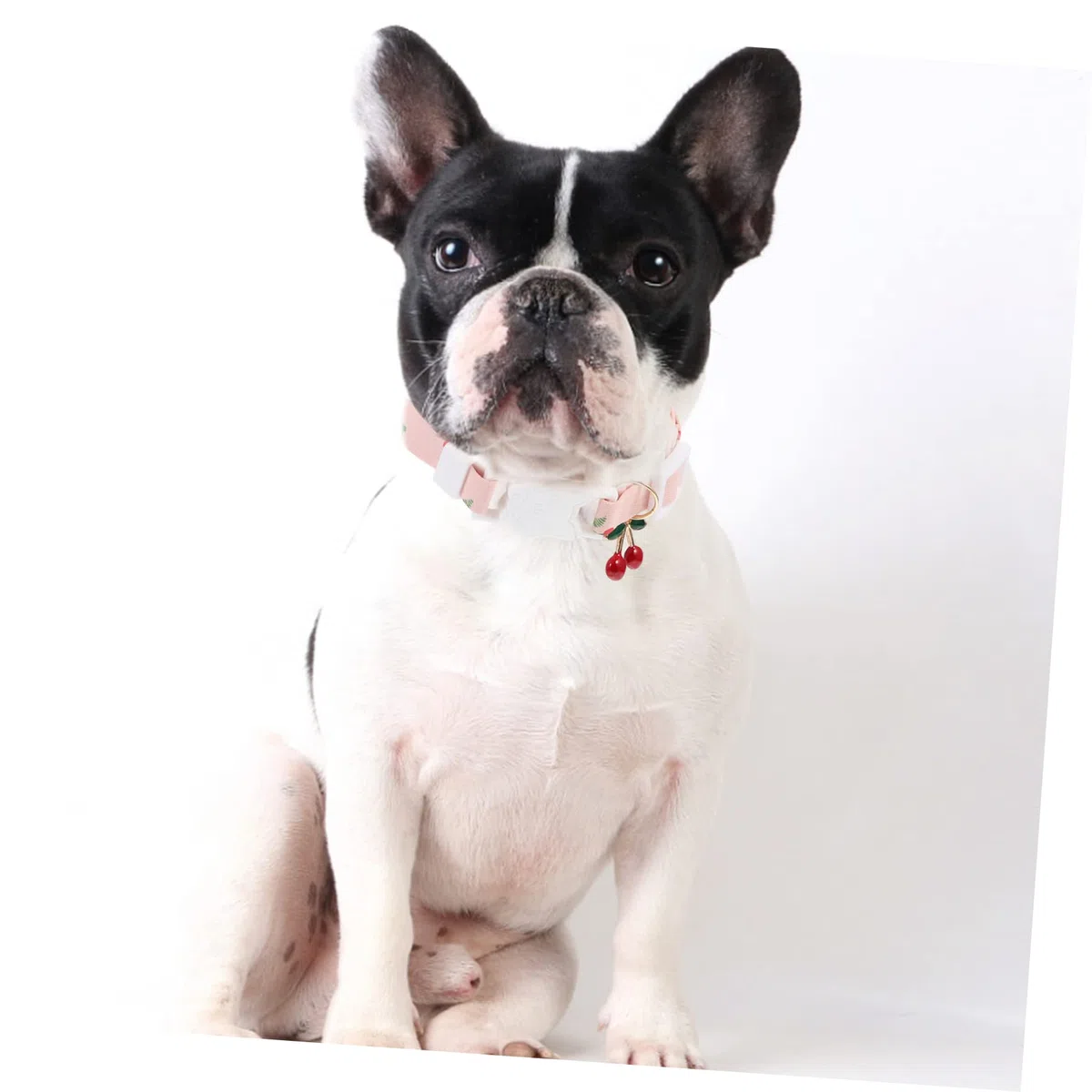 10 Piezas Collar De Mascota Collar Perro Pequeño Chica Tela Bufanda