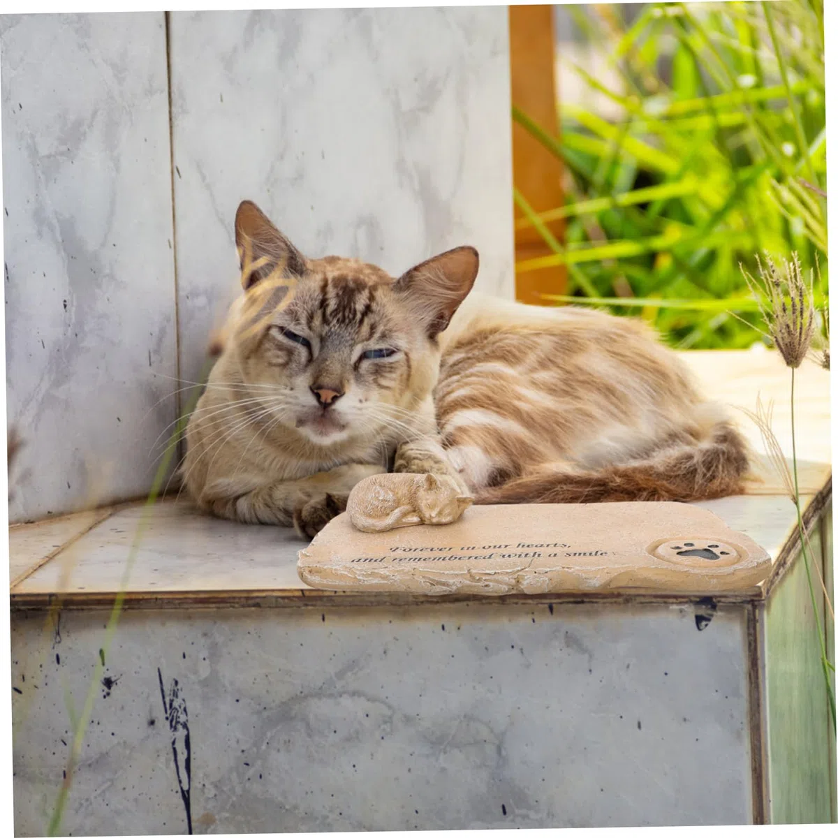 POPETPOP Lápida Conmemorativa de Gato y Perro Diseño de Gatito en Resina