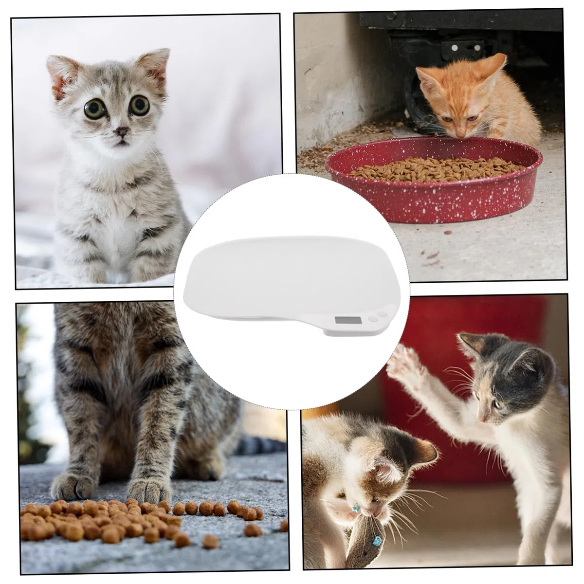 ifundom Báscula Digital Material Abs Blanco para Mascotas Sensores de Alta Precisión y Resultados Estables Adecuado para Uso en Casa o Clínica Veterinaria para Uso en Casa o Clínica Veterinaria
