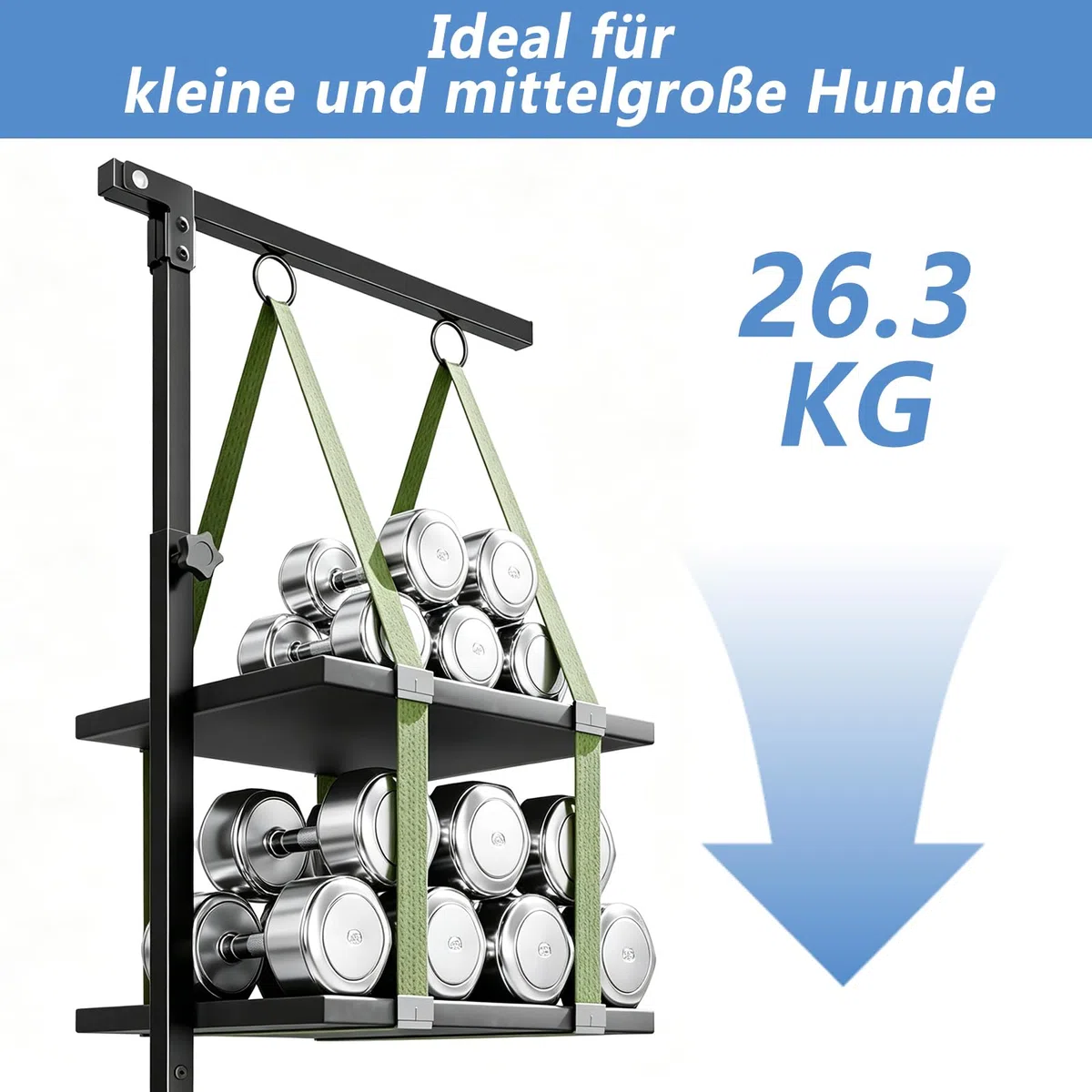 W&H Brazo plegable para aseo de perros con abrazadera de mesa, altura ajustable | 66 – 102 cm, accesorio de peluquería para perros con hamaca y correa antiasiento, para aseo, baño y tijeras