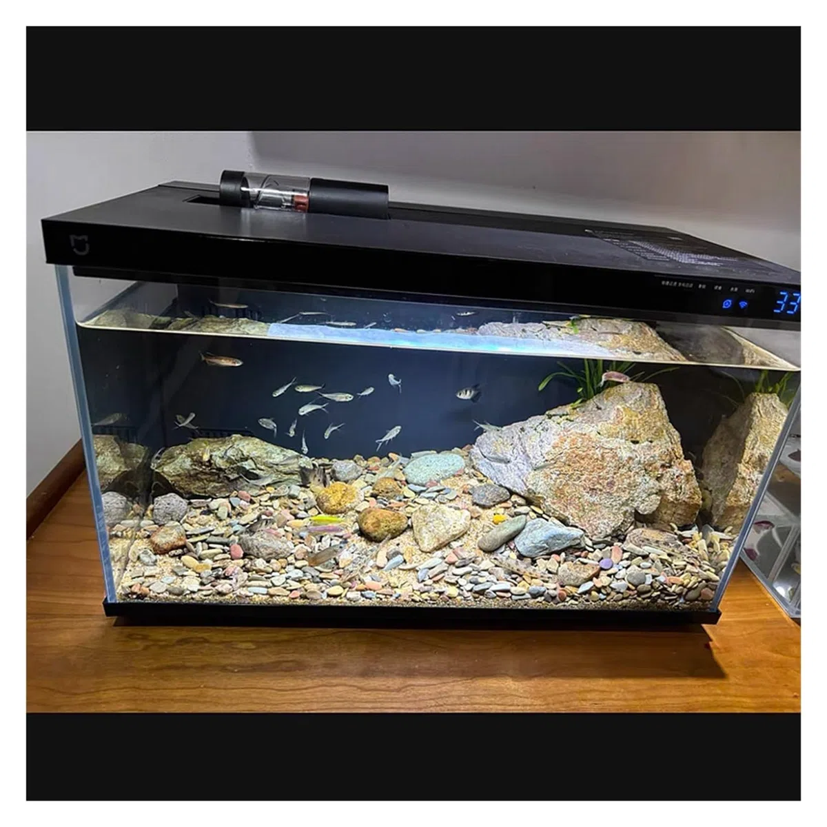 Fondo de Tanque de Peces de 100/200/500g, Piedra de Arena, Paisaje for Acuario, Corriente nativa, Piedra de Arena Natural, Accesorios de decoración DIY for jardín(4-18mm,500g)