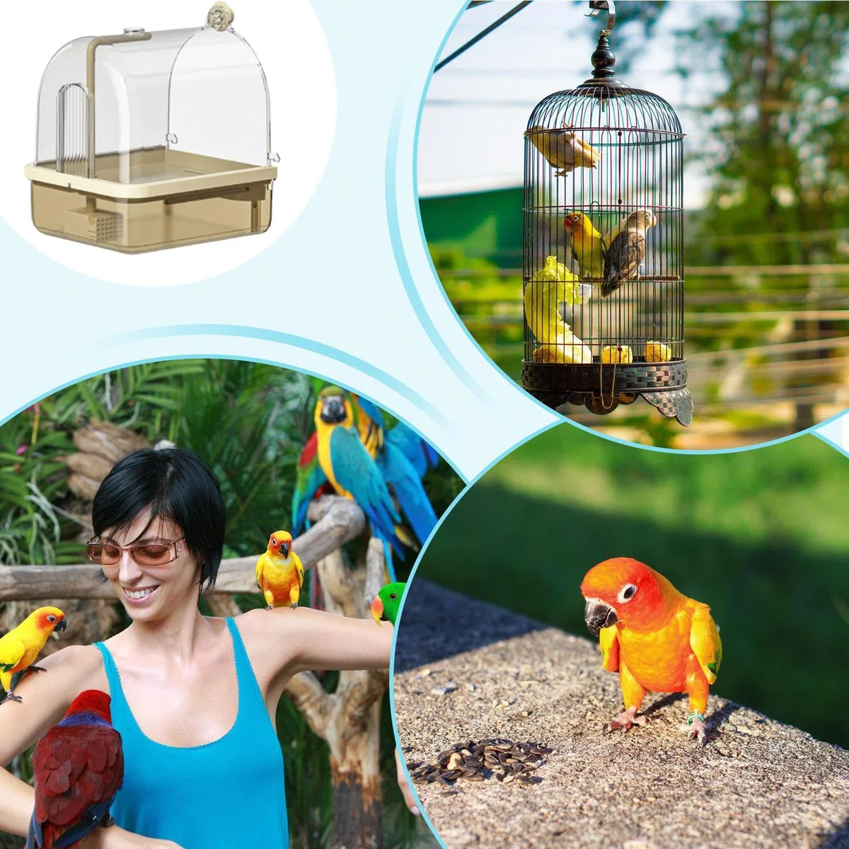 Bañera para Jaulas de Aves Bañera Automática Con Soporte Y Juegos | Baño Para Periquitos De Jaula Adecuado en Aviario Interior, Cría, Viajes, Exhibiciones y Espectáculos