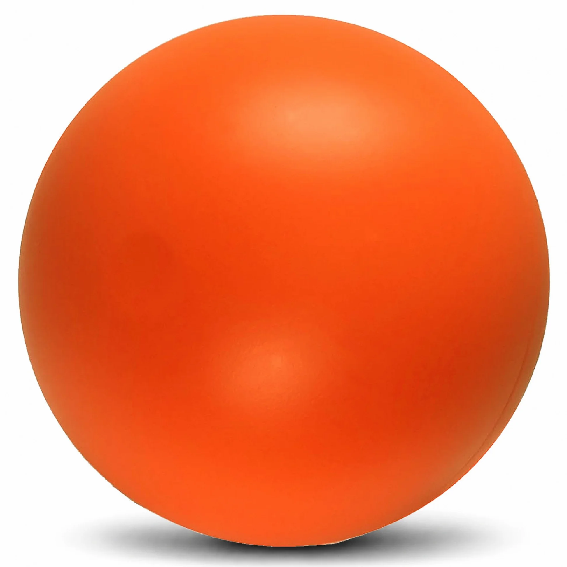 Doggie Dooley Pelota para perros prácticamente indestructible, juguete interactivo de plástico duro de 14 pulgadas para razas grandes de más de 75 libras, construido para pastoreo y juego de empuje