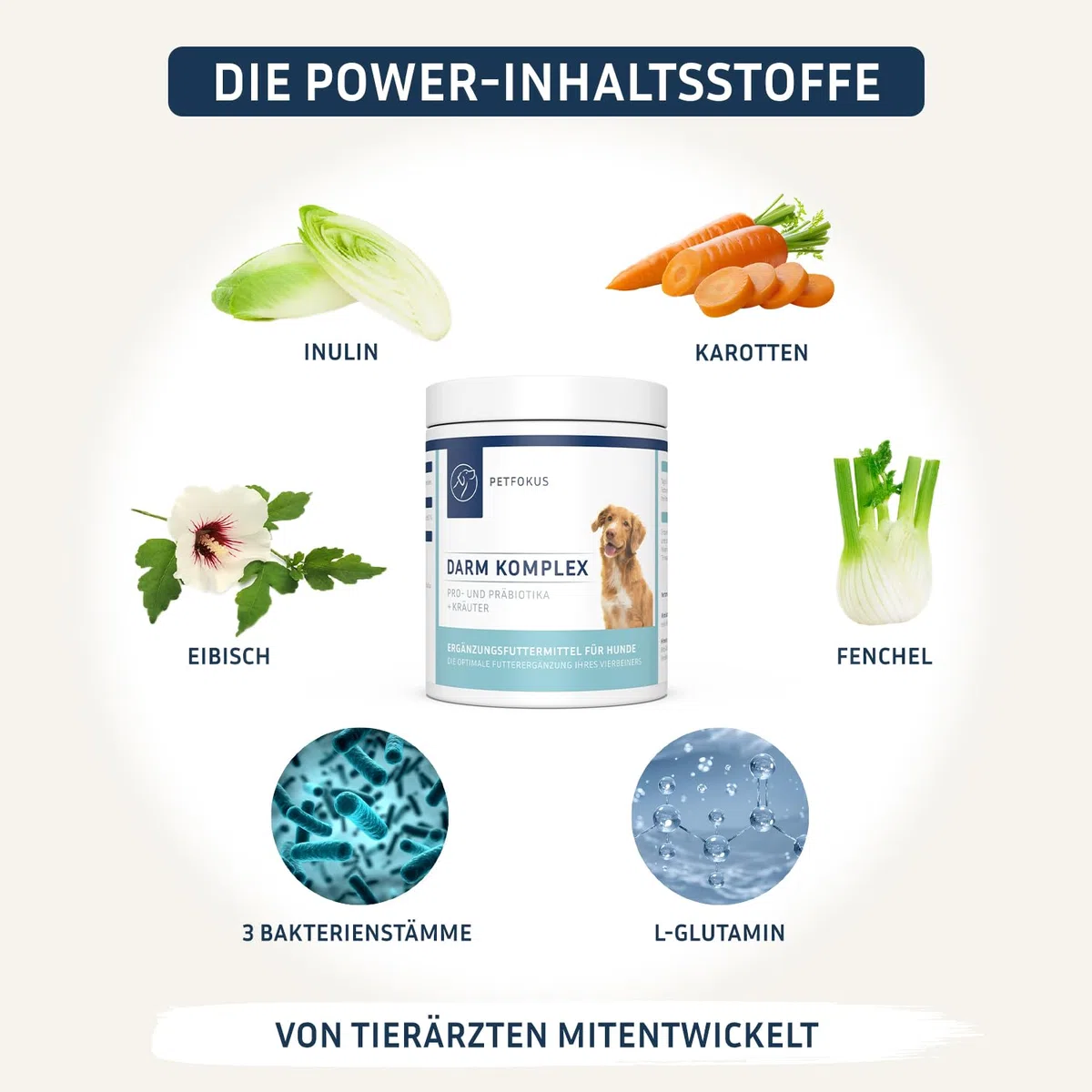 PetFokus Complejo intestinal para perros - Apoyo a la digestión, antiinflamatorio, salud articular y control de peso, complementario a la alimentación húmeda, seca o cruda - producido en Alemania