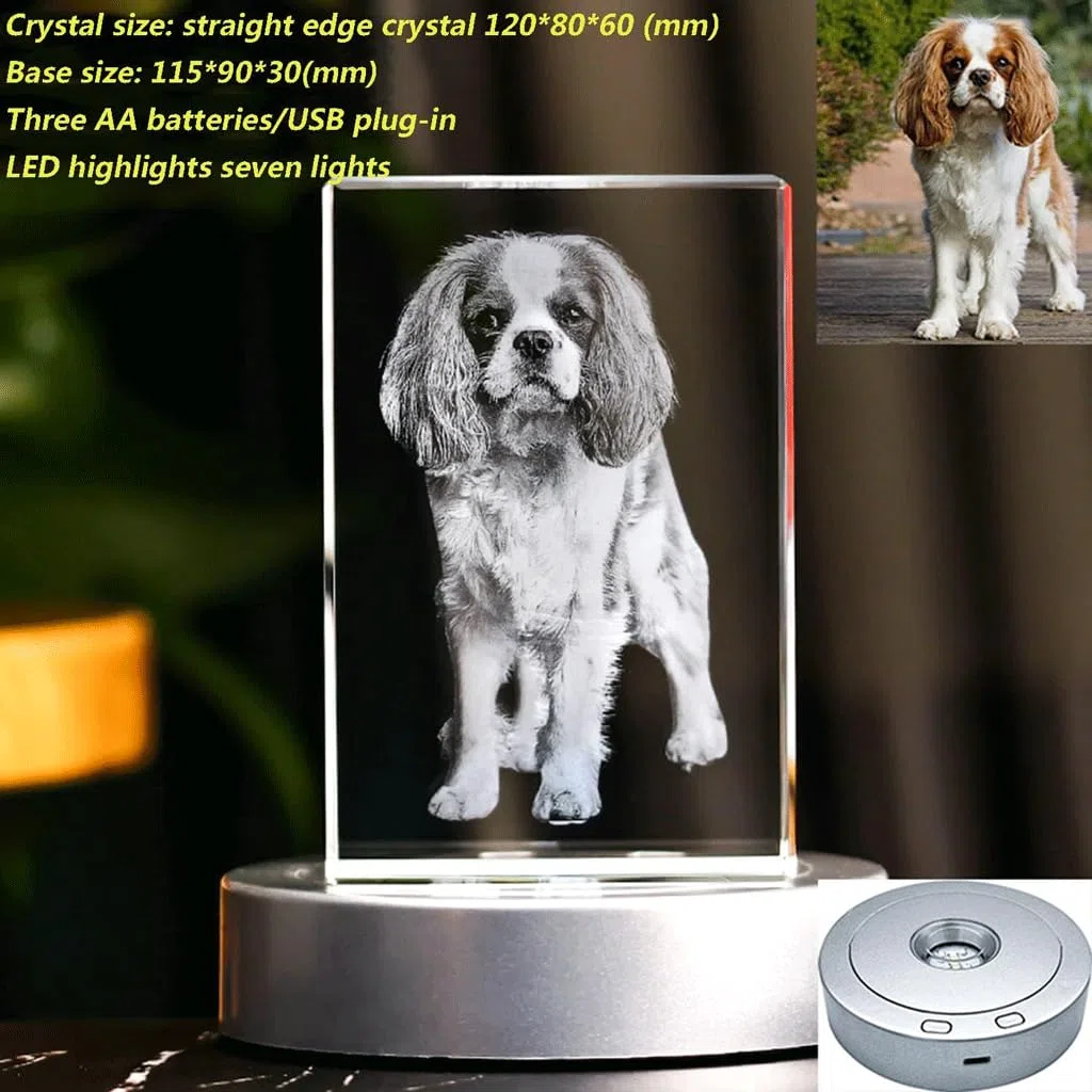 NALsa Tallado de Cristal, Fotos privadas 3D Personalizadas, Regalos conmemorativos para Mascotas para Amigos, Novias y Regalos Familiares