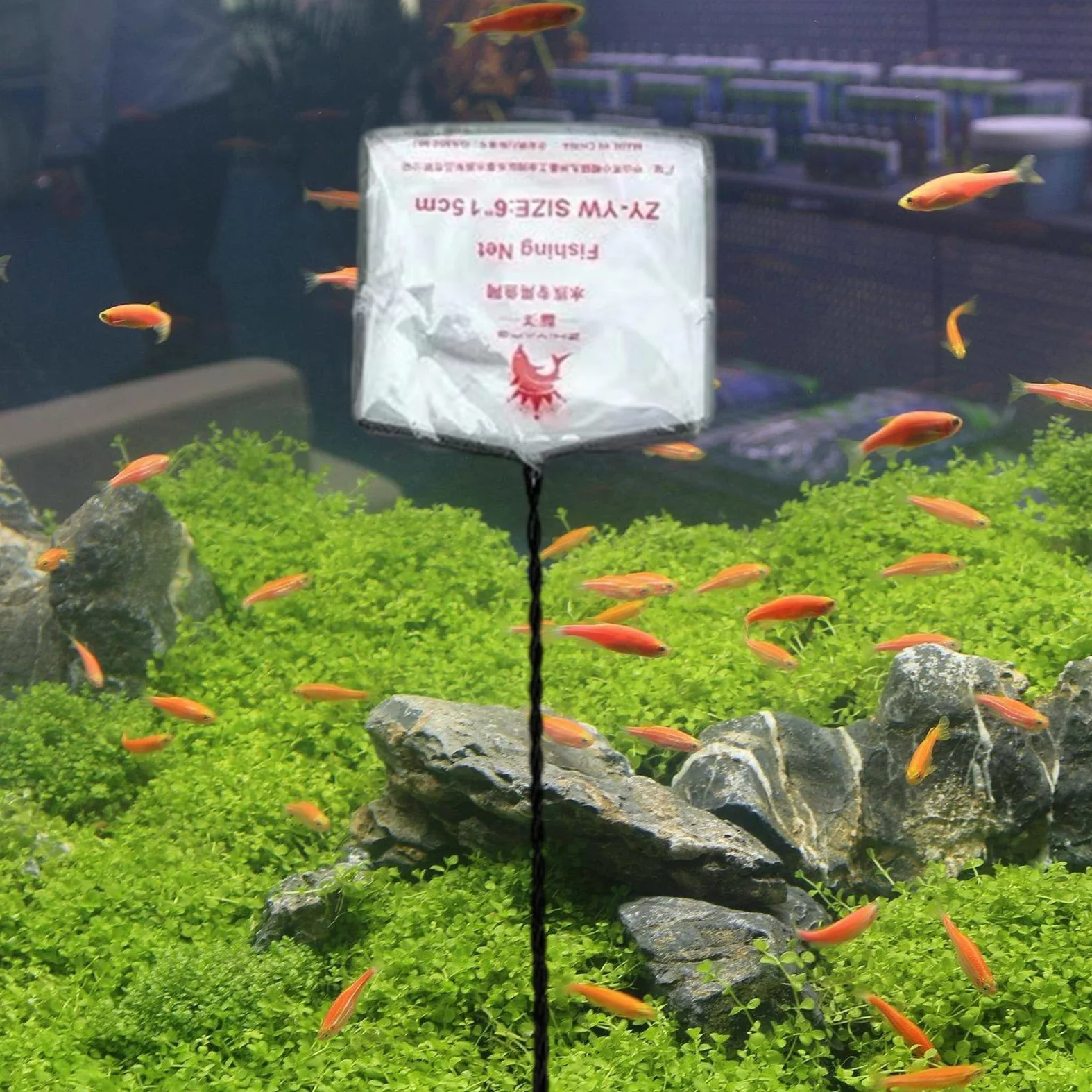 PANGBOER Paquete De 10 Cucharas Limpieza Fina Profesionales para Acuarios Red Peces Varias Ocasiones Hogar Y Oficina Red Pesca Peceras