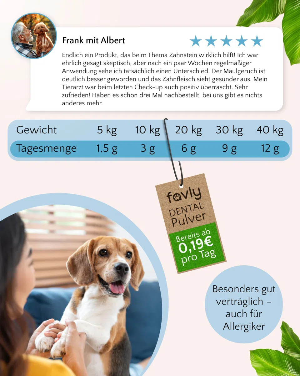FAVLY – Polvo dental para perros 250 g – Complemento alimenticio en polvo dental para perros contra el mal olor y la placa dental – con Clorella orgánica y perejil – sin cereales ni aditivos