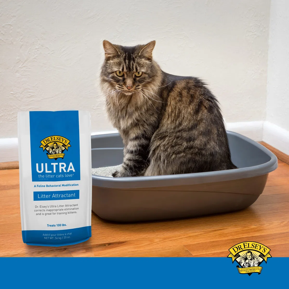 Precioso Gato Ultra Litter Attractant