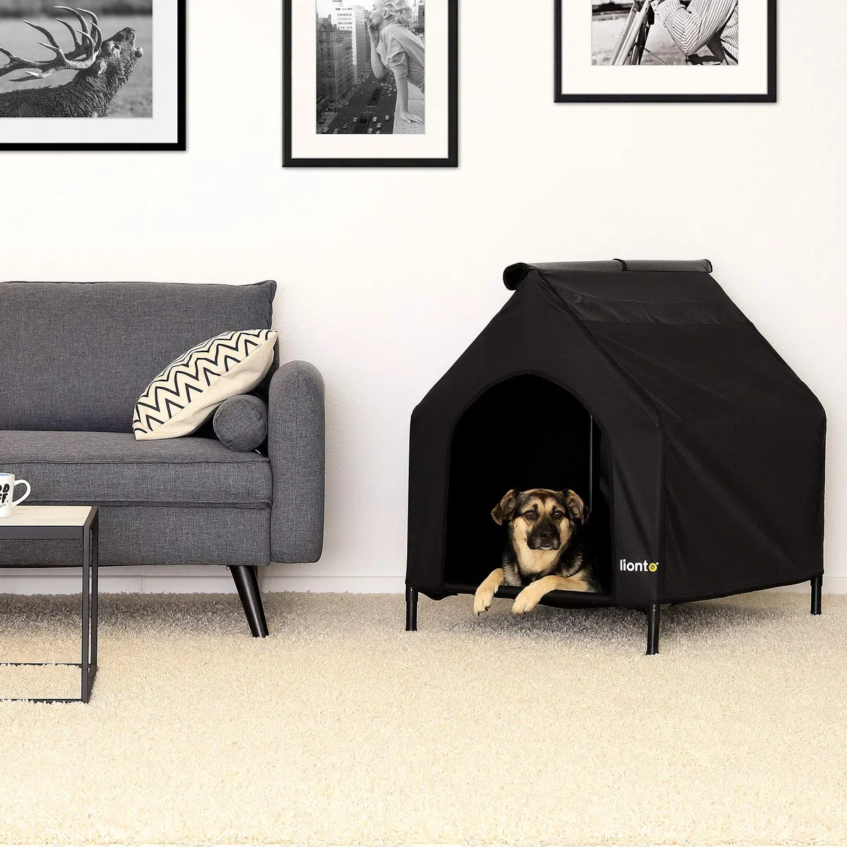 lionto Cama para Perros Cubierta Cama elevada con Techo para Perros, (S) 90x65x85 cm Negro