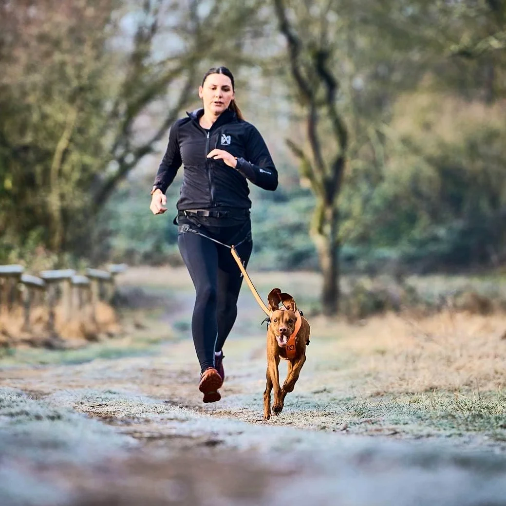 Non-Stop - Cinturón de correr Canix 2.0 - Negro - M/Perros/Negro/M