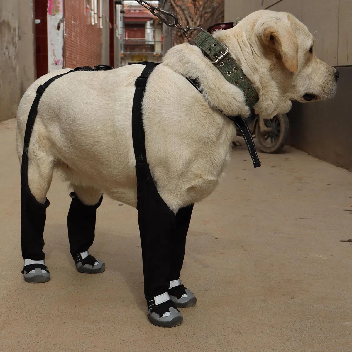 Botas Impermeables para Perros con Tirantes Protector de Patas Reflectante