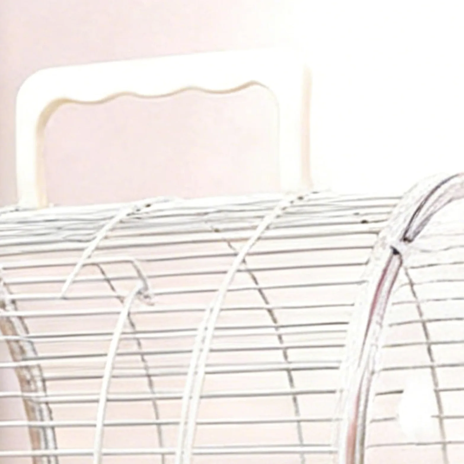 Transportín para Aves de Transporte con Posadero y Ventana Transparente | Jaula Para Conuros Y Otras Aves para Periquito Canario Cacatúa Ninfa y Dragón Barbudo