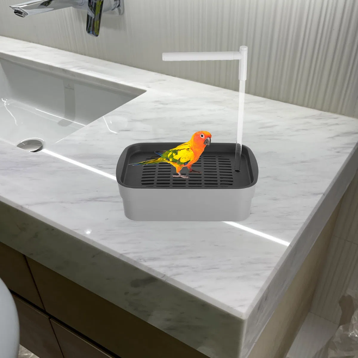 SHINEOFI Cuenco de Baño Automático para Pájaros Ducha para Loros, Periquitos y Palomas, Bañera de Plástico Resistente para Uso en Jaulas y Aviarios