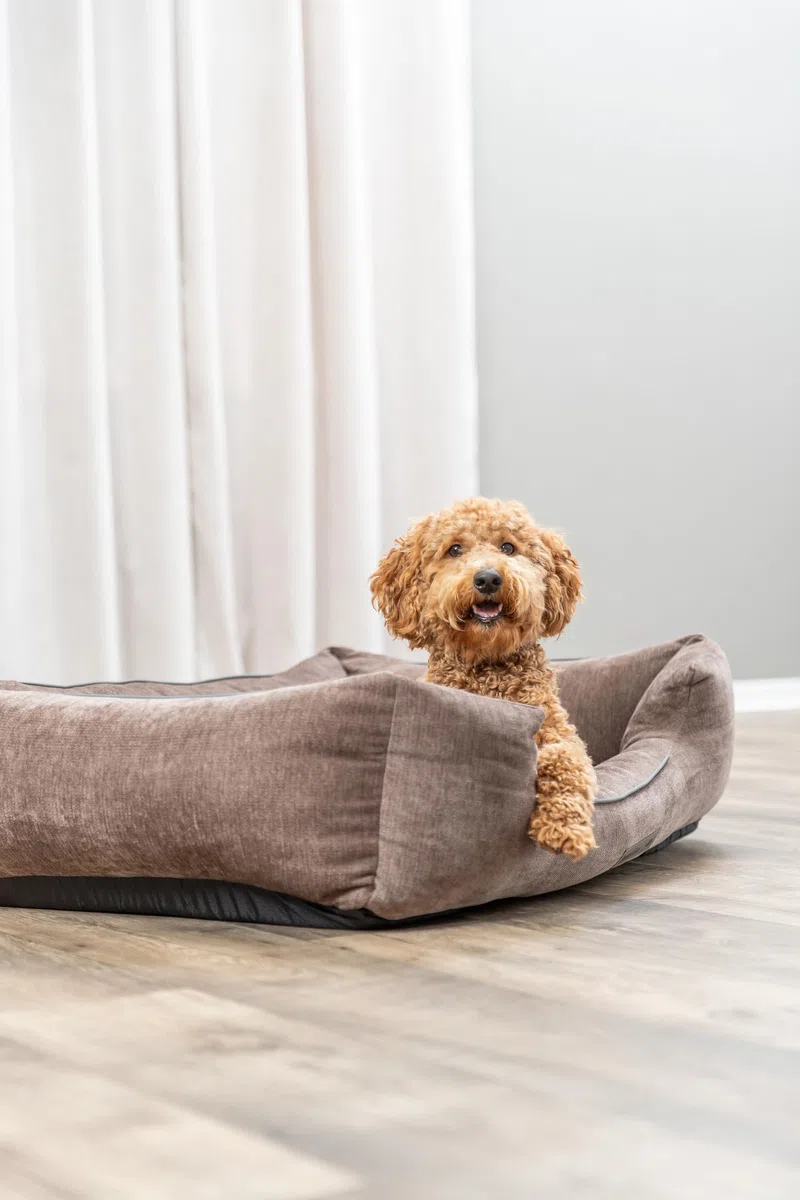 Trixie Vital Lennox 371305 - Cama para Perros (Chenilla, Rectangular, ortopédica, 60 x 50 cm, con Espuma viscoelástica para Efecto Memoria, 60 x 50 cm), Color marrón