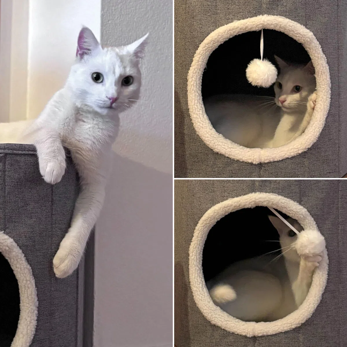 Casa para gatos con pelota de juego, 38 x 38 cm, plegable, con tabla para rascar y cojín de peluche, color gris