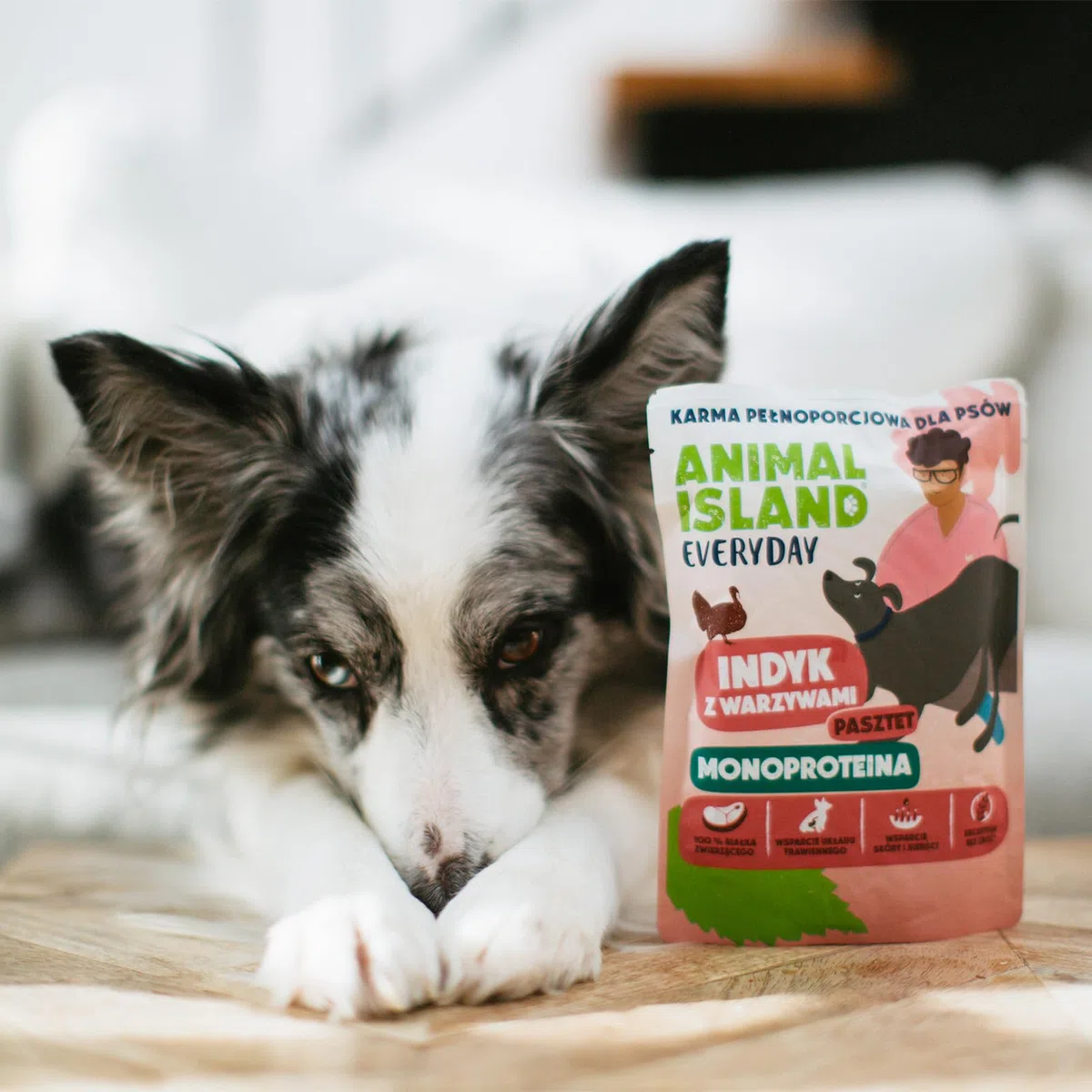 Animal Island Everyday Comida Húmeda Monoproteína para Perro Adulto Paté de Pavo con Verduras Bolsita Sin Cereales, 9 x 300g